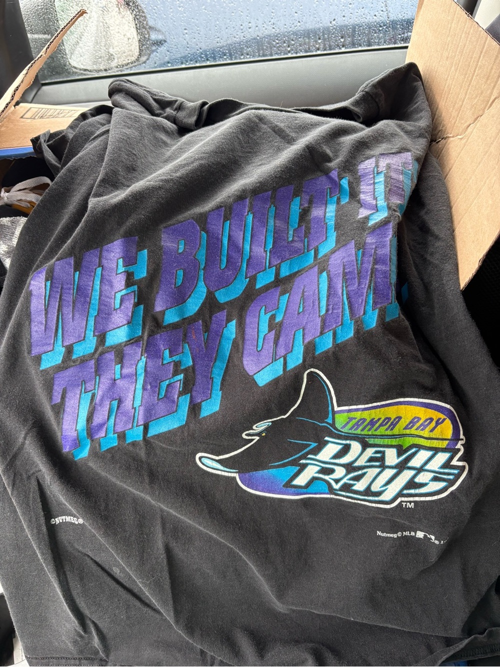 Vintage 1995 Nutmeg Tampa Bay Devil Rays (We Built It, They Came) Shirt Large